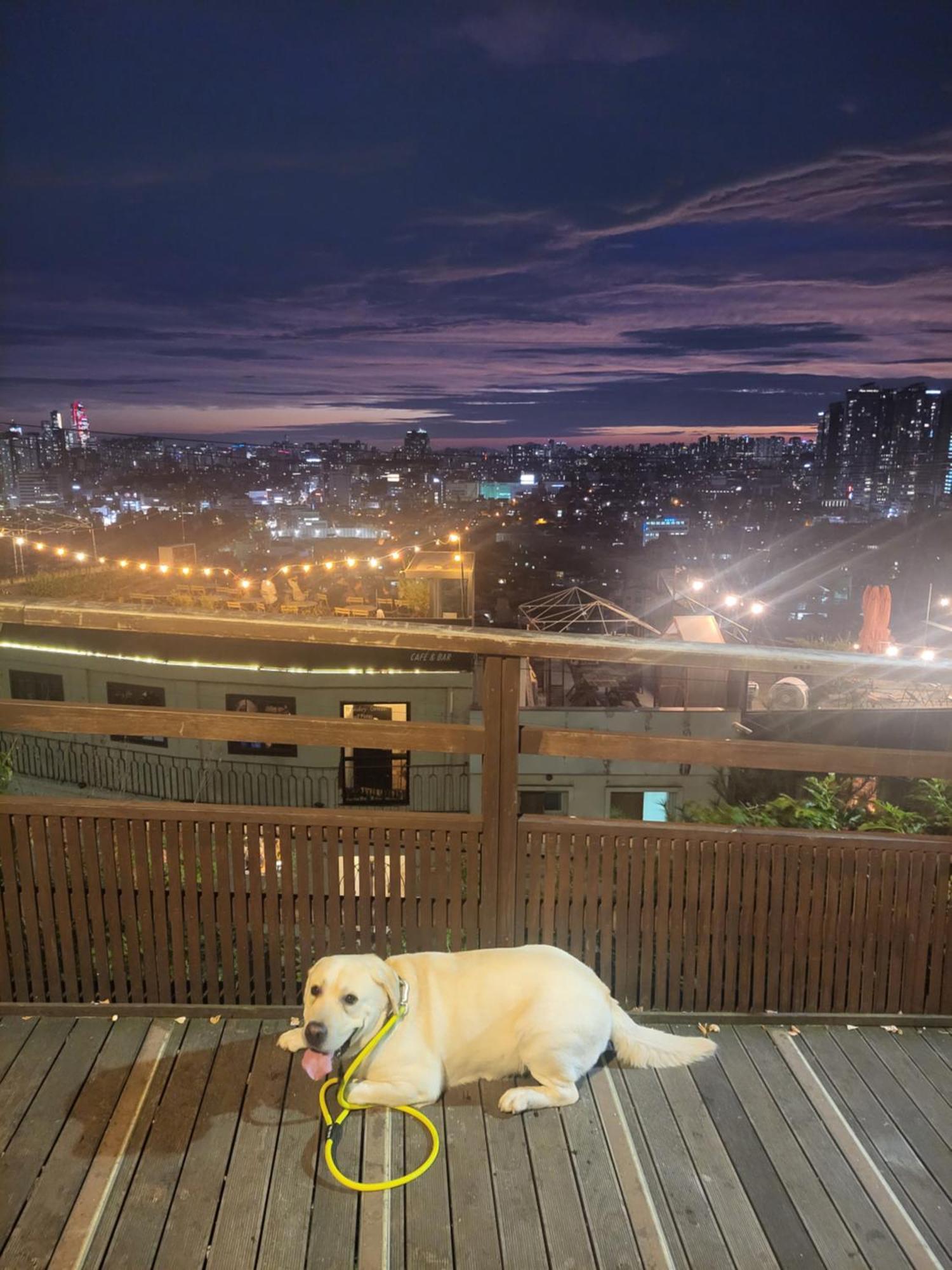 Newly Renovated 2 Bedroom Apartment #7 Seoul Eksteriør bilde