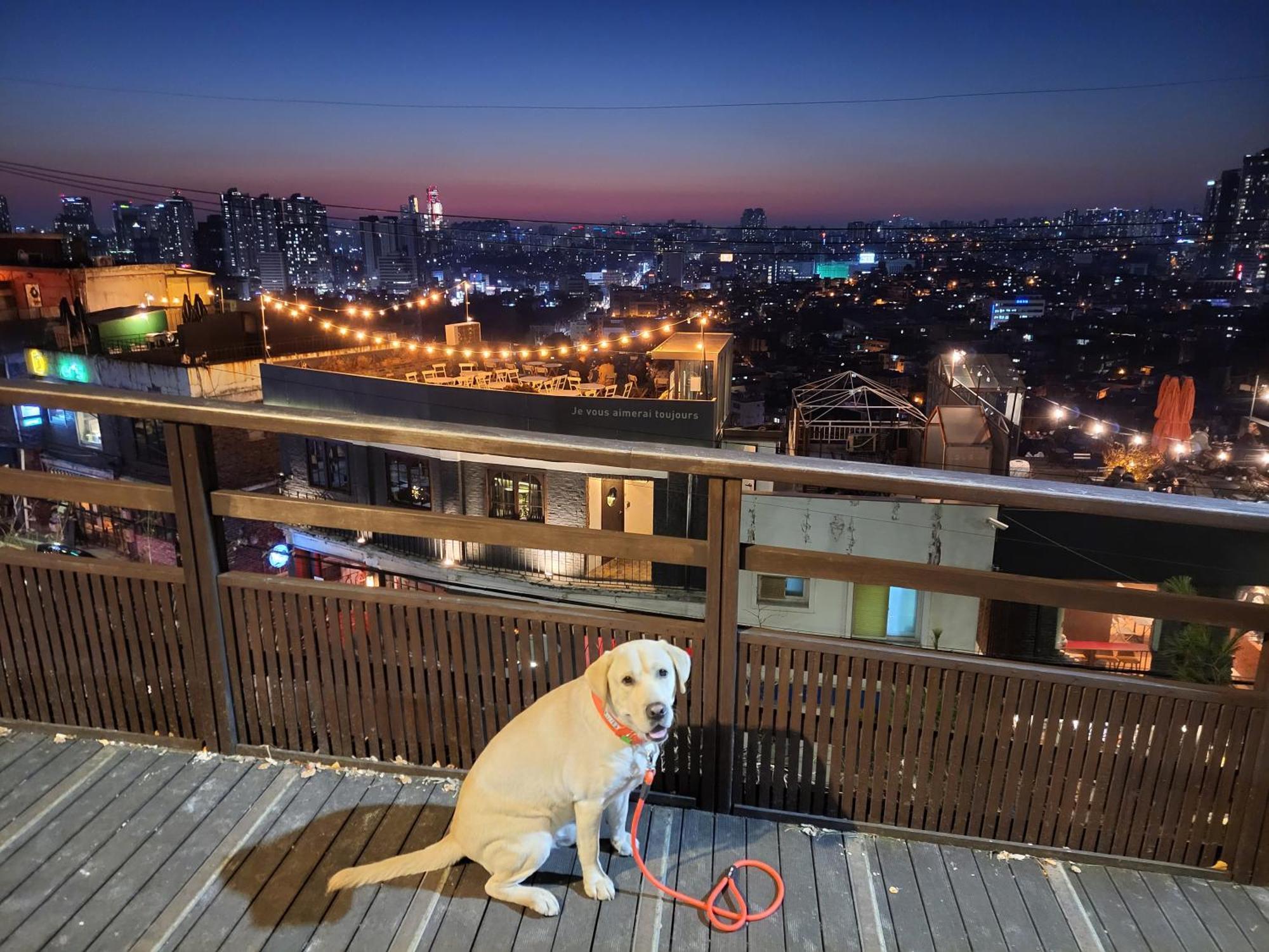 Newly Renovated 2 Bedroom Apartment #7 Seoul Eksteriør bilde