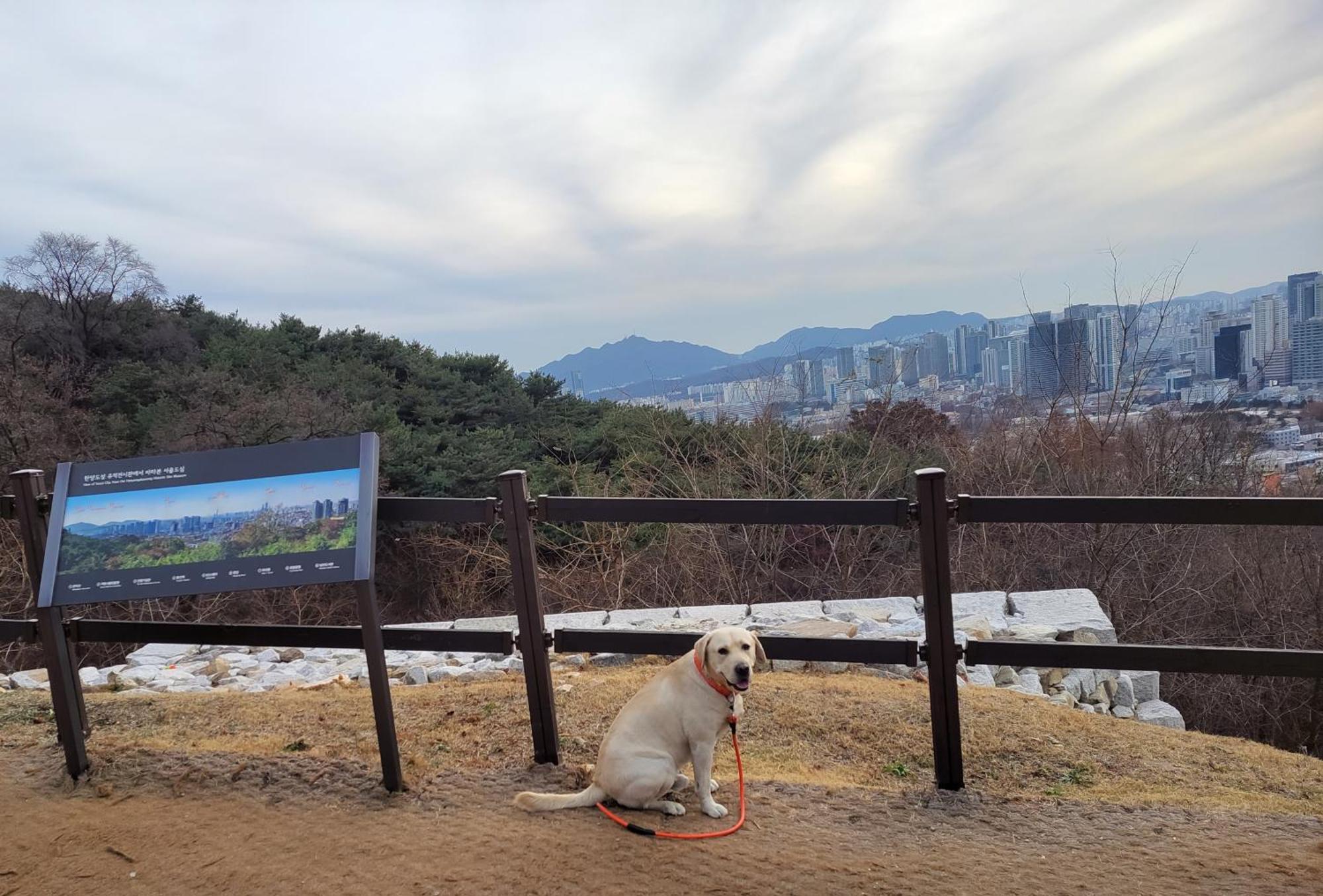 Newly Renovated 2 Bedroom Apartment #7 Seoul Eksteriør bilde