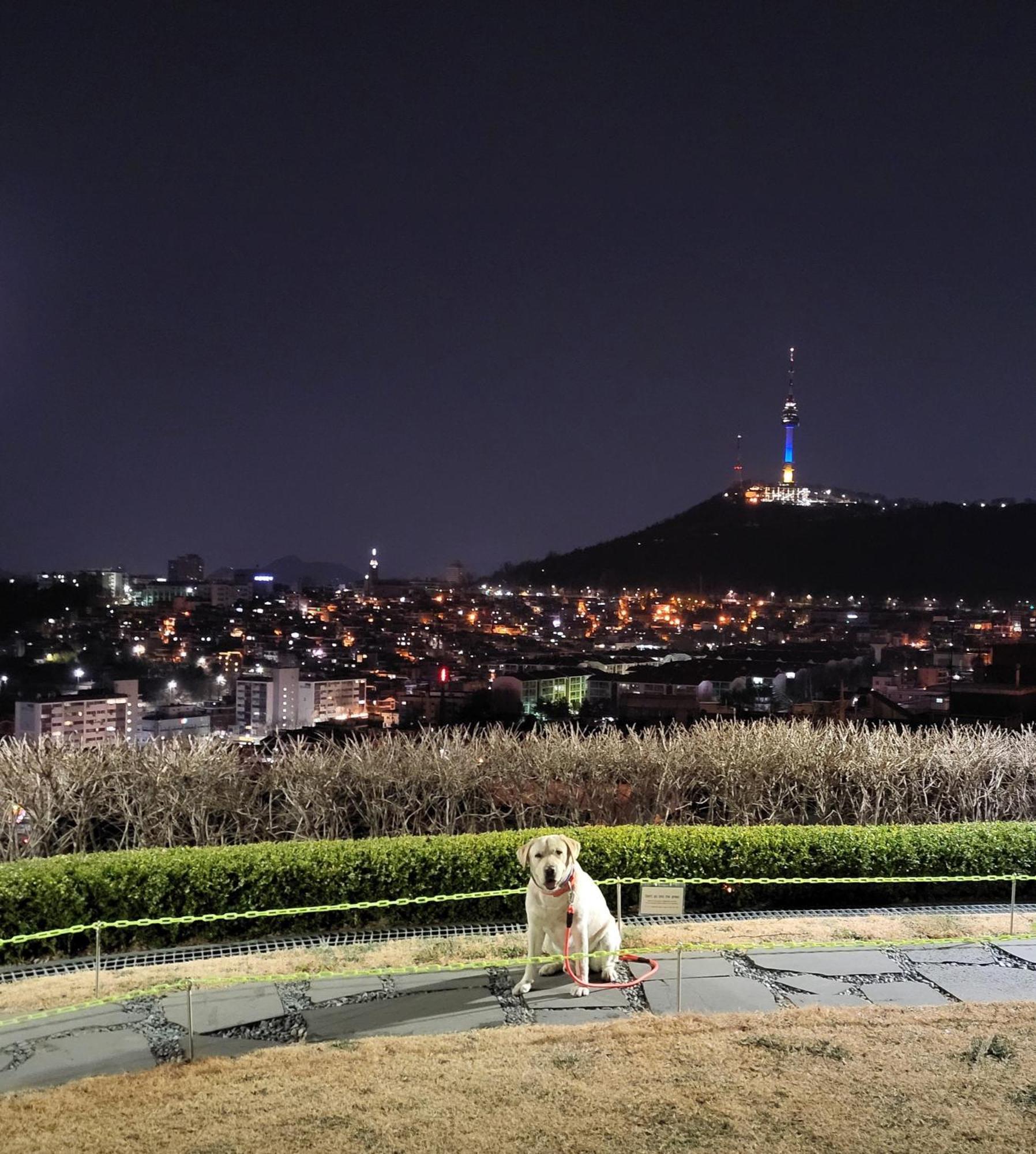 Newly Renovated 2 Bedroom Apartment #7 Seoul Eksteriør bilde
